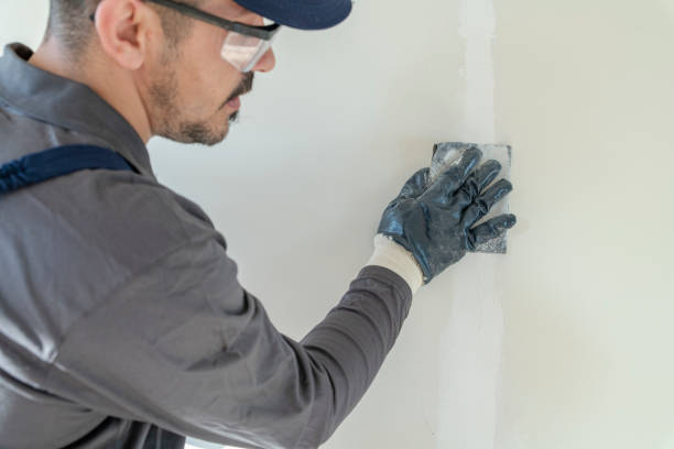 Best Drywall Sanding and Smoothing  in Edmonton, KY